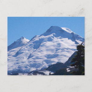 Artist Point Mt. Baker Postcard