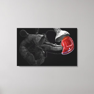 Artistic 3d rendering of the spleen canvas print