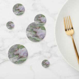 artistic animal capybara confetti