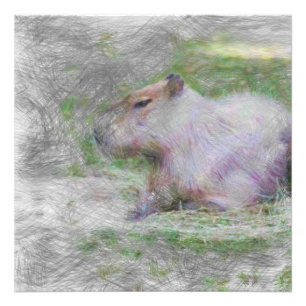 artistic animal capybara photo print