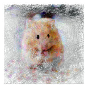artistic animal hamster photo print