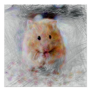 artistic animal hamster poster