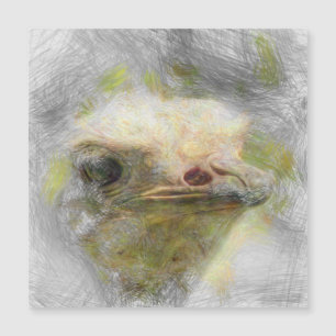 artistic animal ostrich