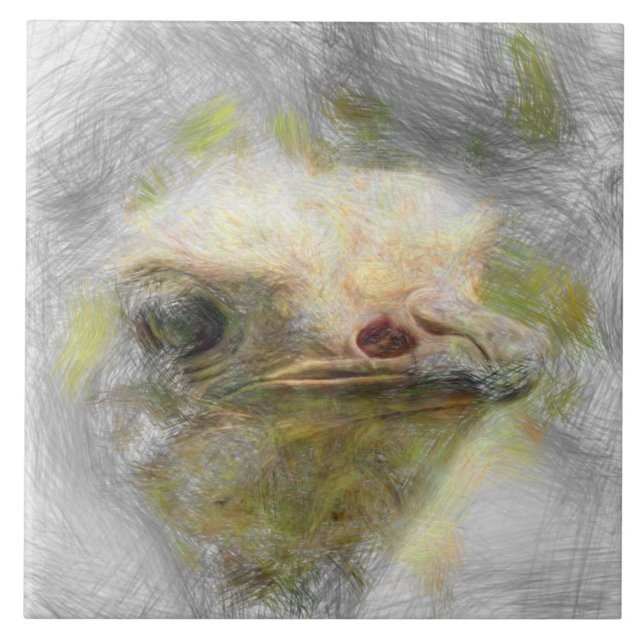 artistic animal ostrich tile (Front)