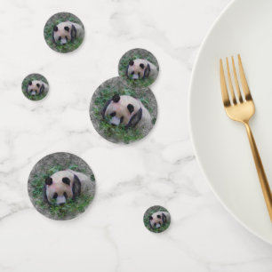 artistic animal panda confetti