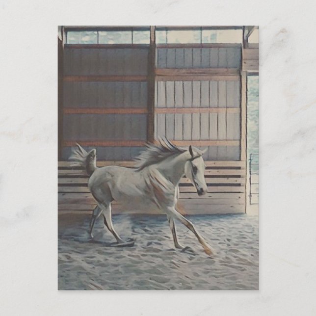 Artistic Arabian Postcard (Front)