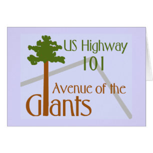 Artistic Avenue of the Giants Design