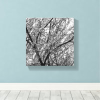 Artistic B & W Photo of Snow on Tree Branches