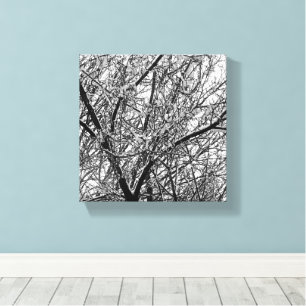 Artistic B & W Photo of Snow on Tree Branches Canvas Print