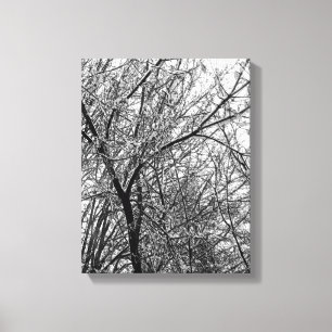 Artistic B & W Photo of Snow on Tree Branches Canvas Print