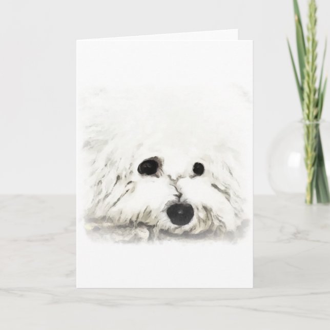 Artistic Bichon head aquarelle Card (Front)
