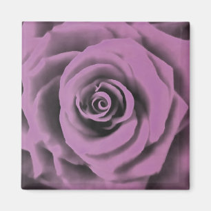 Artistic Big Dark Lavender Rose Magnet