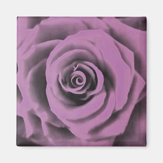 Artistic Big Dark Lavender Rose Magnet (Front)