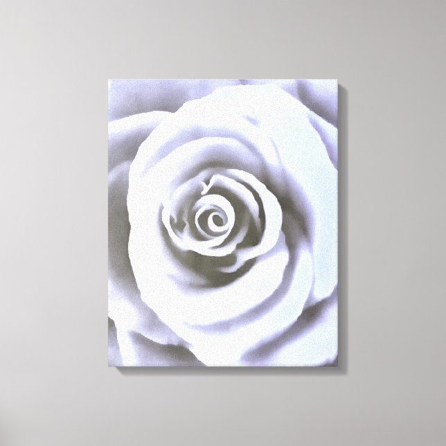 Artistic Big Pale Blue Rose Canvas Print (Front)