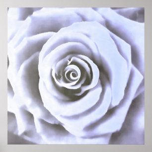Artistic Big Pale Blue Rose Poster