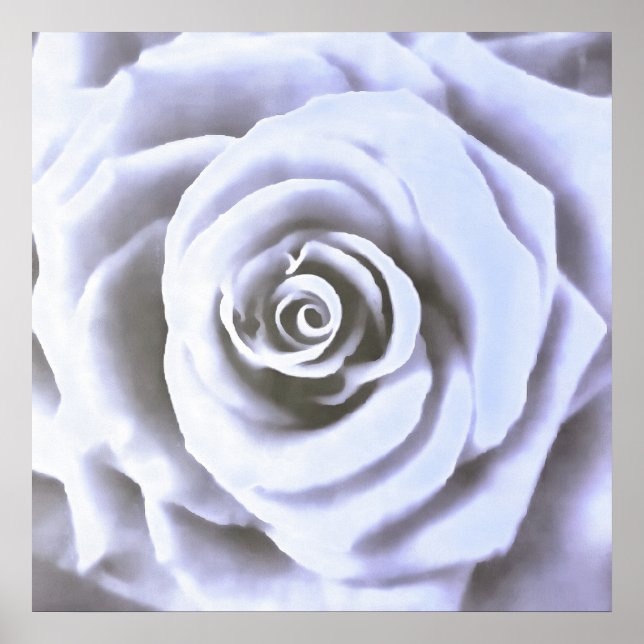 Artistic Big Pale Blue Rose Poster (Front)