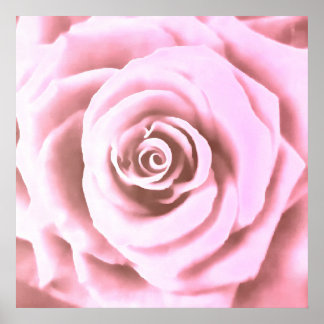Artistic Big Pale Pink Rose Poster