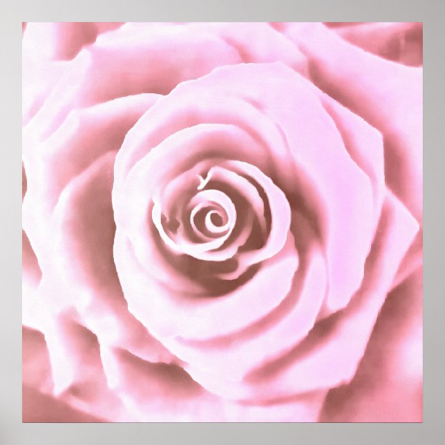 Artistic Big Pale Pink Rose Poster (Front)