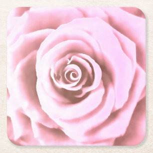 Artistic Big Pale Pink Rose Square Paper Coaster