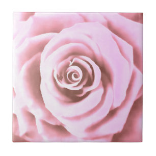 Artistic Big Pale Pink Rose Tile