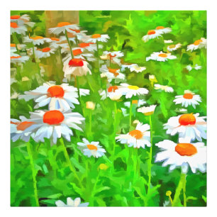 Artistic Bright and Colourful Pop Art Daisies v1 z Photo Print