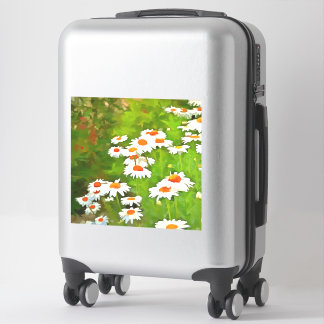 Artistic Bright and Colourful White Garden Daisies