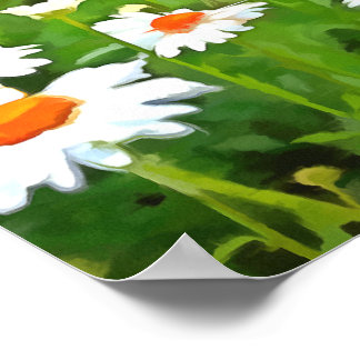 Artistic Bright and Colourful White Garden Daisies Poster