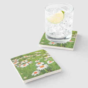 Artistic Bright and Colourful White Garden Daisies Stone Coaster