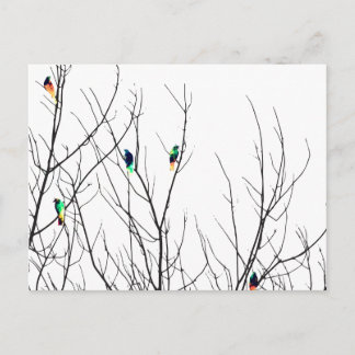 Artistic Bright Birds on Tree Branches Postcard