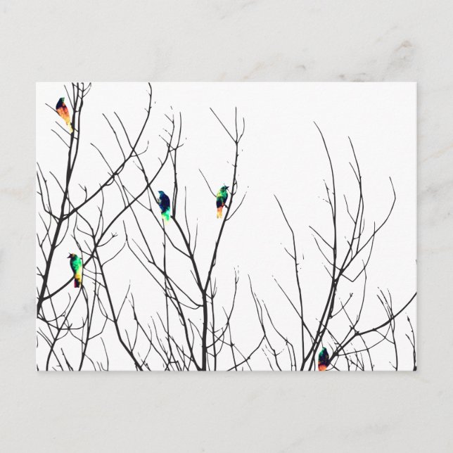 Artistic Bright Birds on Tree Branches Postcard (Front)