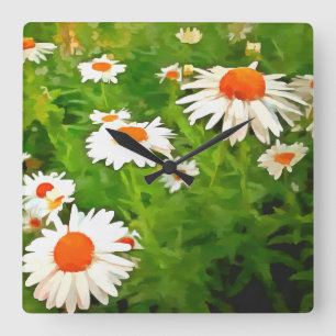 Artistic Bright Colourful White Garden Daisies v4b Square Wall Clock
