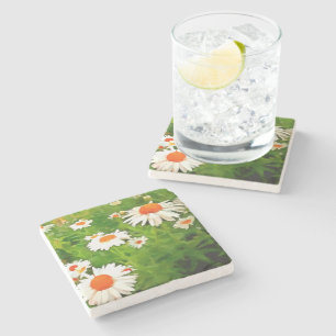 Artistic Bright Colourful White Garden Daisies v4b Stone Coaster