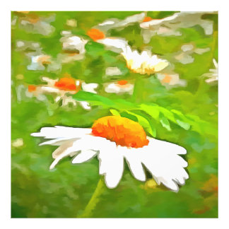 Artistic Bright Colourful White Garden Daisies v5 Photo Print