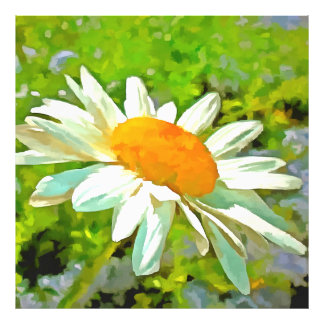 Artistic Bright Colourful White Garden Daisies v6 Photo Print