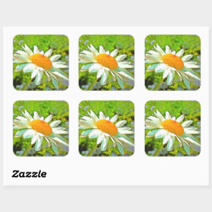 Artistic Bright Colourful White Garden Daisies v6 Square Sticker
