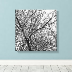 Artistic BW Photo of Snow on Tree Branches Canvas Print
