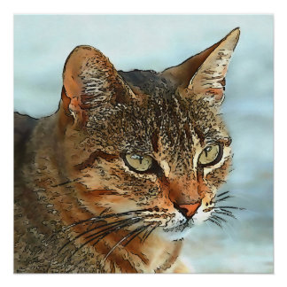 Artistic Cartoon Style Black Outline Tabby Cat Poster