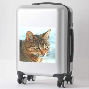 Artistic Cartoon Style Tabby Cat RB