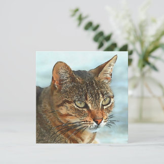 Artistic Cartoon Style Tabby Cat RB Holiday Card