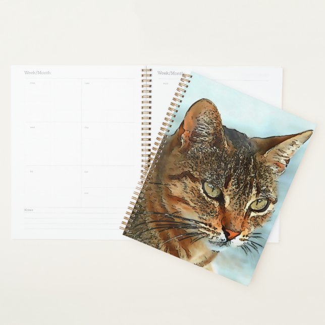 Artistic Cartoon Style Tabby Cat RB Planner (Display)