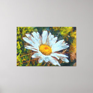 Artistic Close Up of a Marguerite Daisy Flower Canvas Print