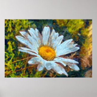 Artistic Close Up of a Marguerite Daisy Flower  Poster