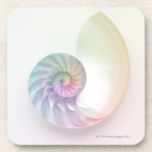 Artistic coloured nautilus image coaster