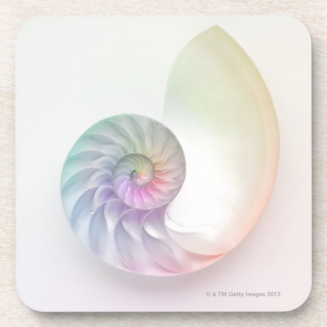 Artistic coloured nautilus image coaster (Front)