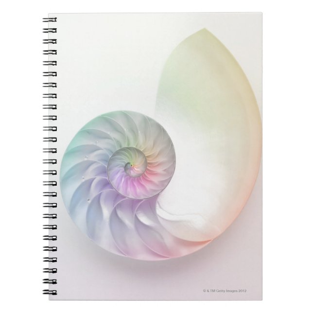Artistic coloured nautilus image notebook (Front)