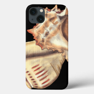 Artistic Conch Shells iPhone 13 Case