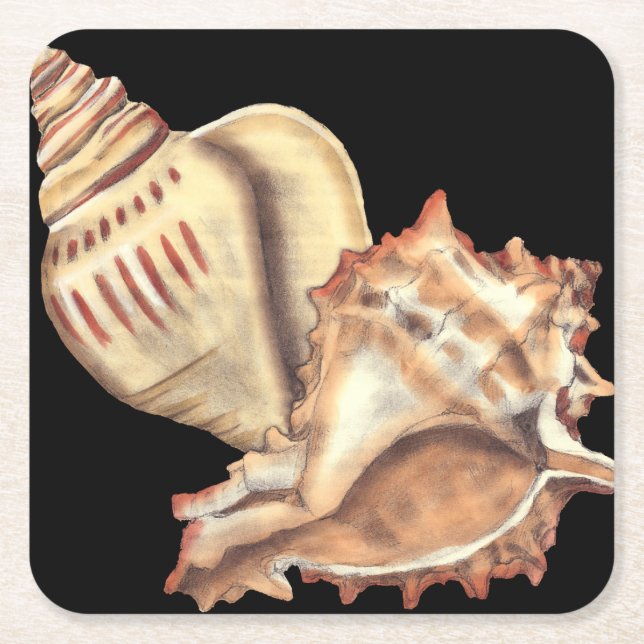 Artistic Conch Shells Square Paper Coaster (Front)