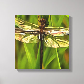 Artistic Dragonfly In Brown And Yellow On Green Canvas Print
