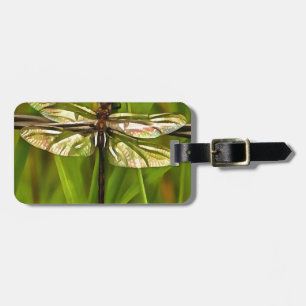 Artistic Dragonfly In Brown And Yellow On Green Luggage Tag