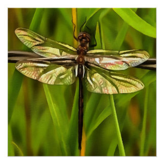 Artistic Dragonfly In Brown And Yellow On Green Poster